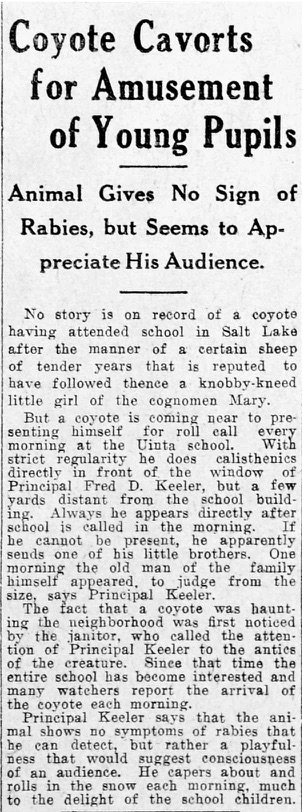 1916 01 30 coyote visit trib