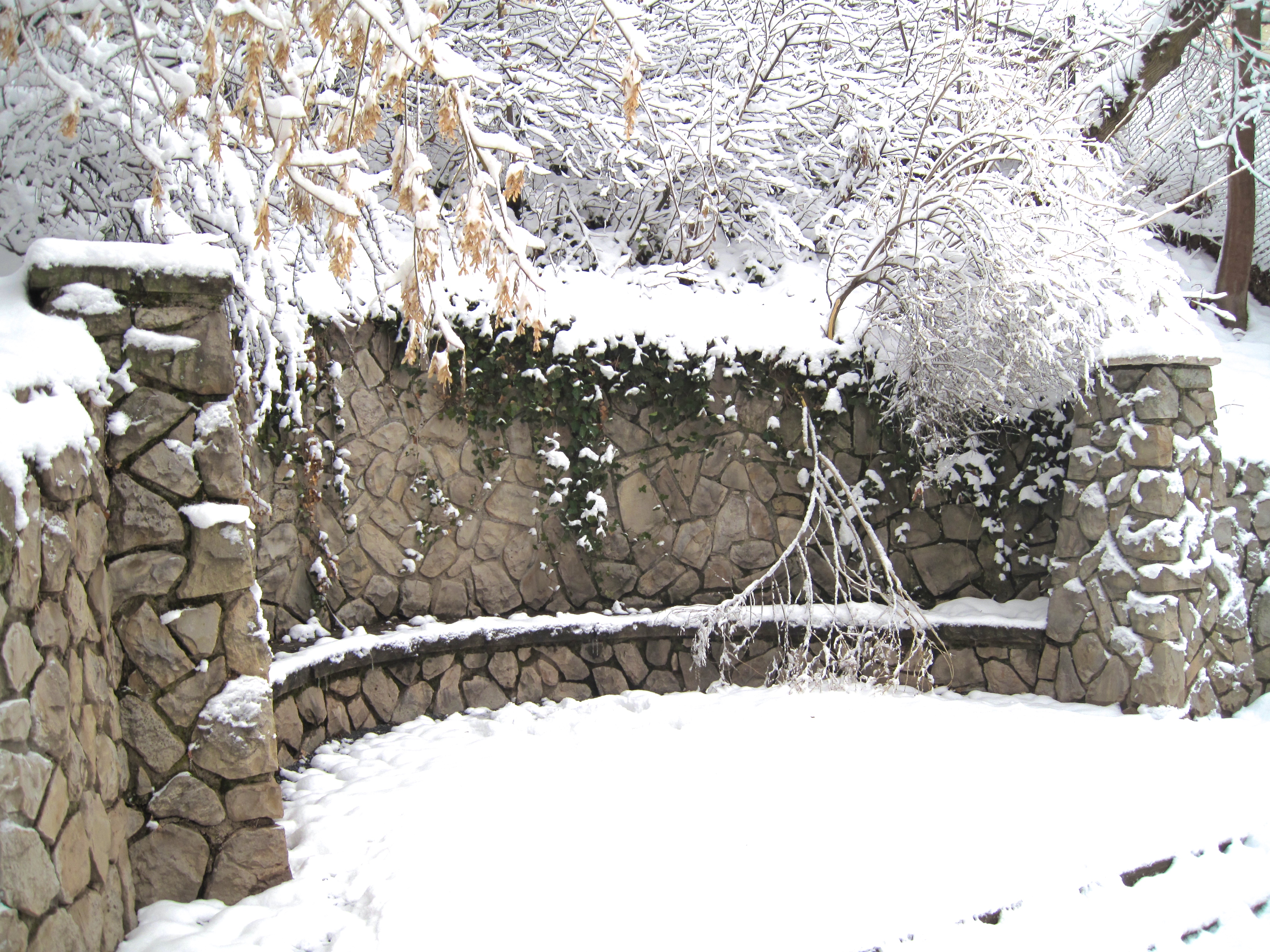 Miller Bird Refuge and Nature Park
